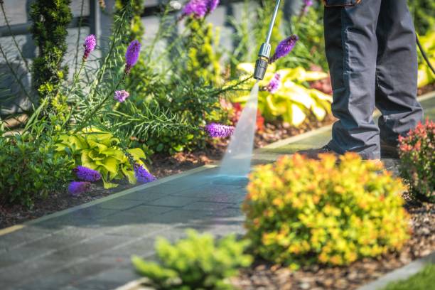 Best Concrete Surface Cleaning in Burnsville, NC