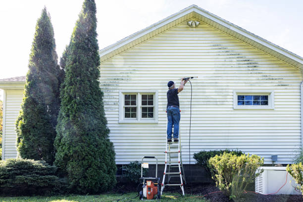 Best Sidewalk and Walkway Pressure Cleaning in Burnsville, NC
